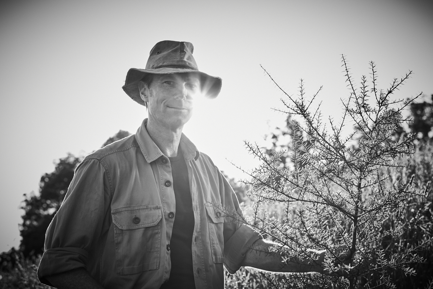 Nature-based Forestry: Regenerative Forestry Models for Aotearoa