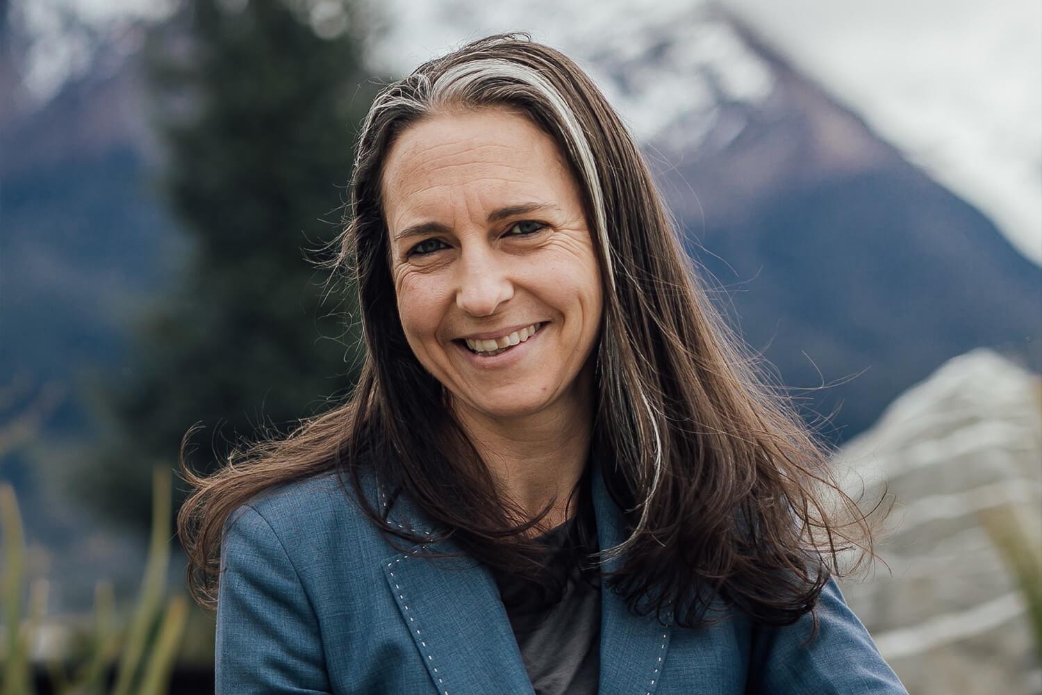 Insight into Regenerative Agriculture in New Zealand