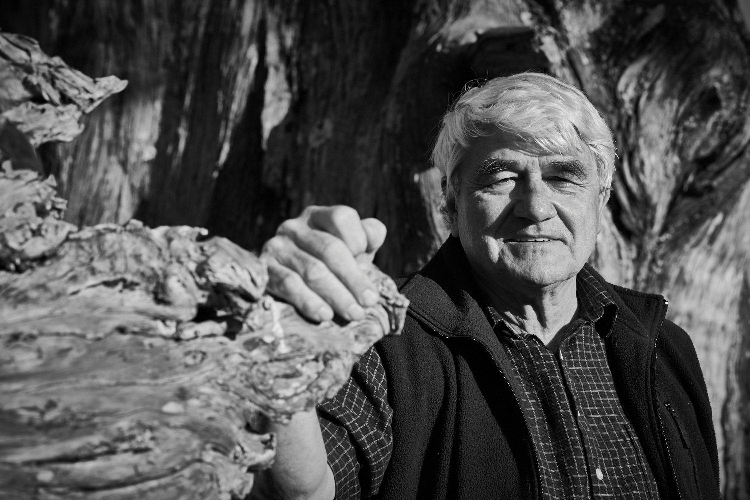 Ka ora te whenua, ka ora te tangata; When the land is well we are well