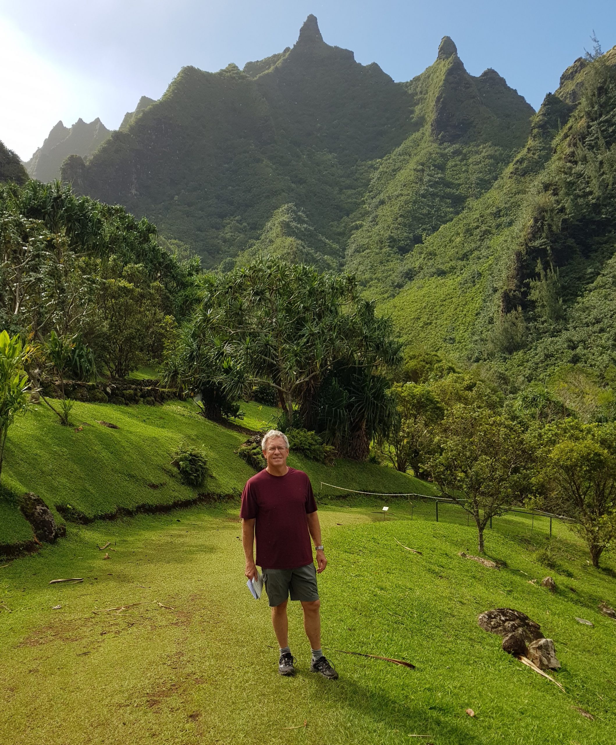 How to Think Like a Forest