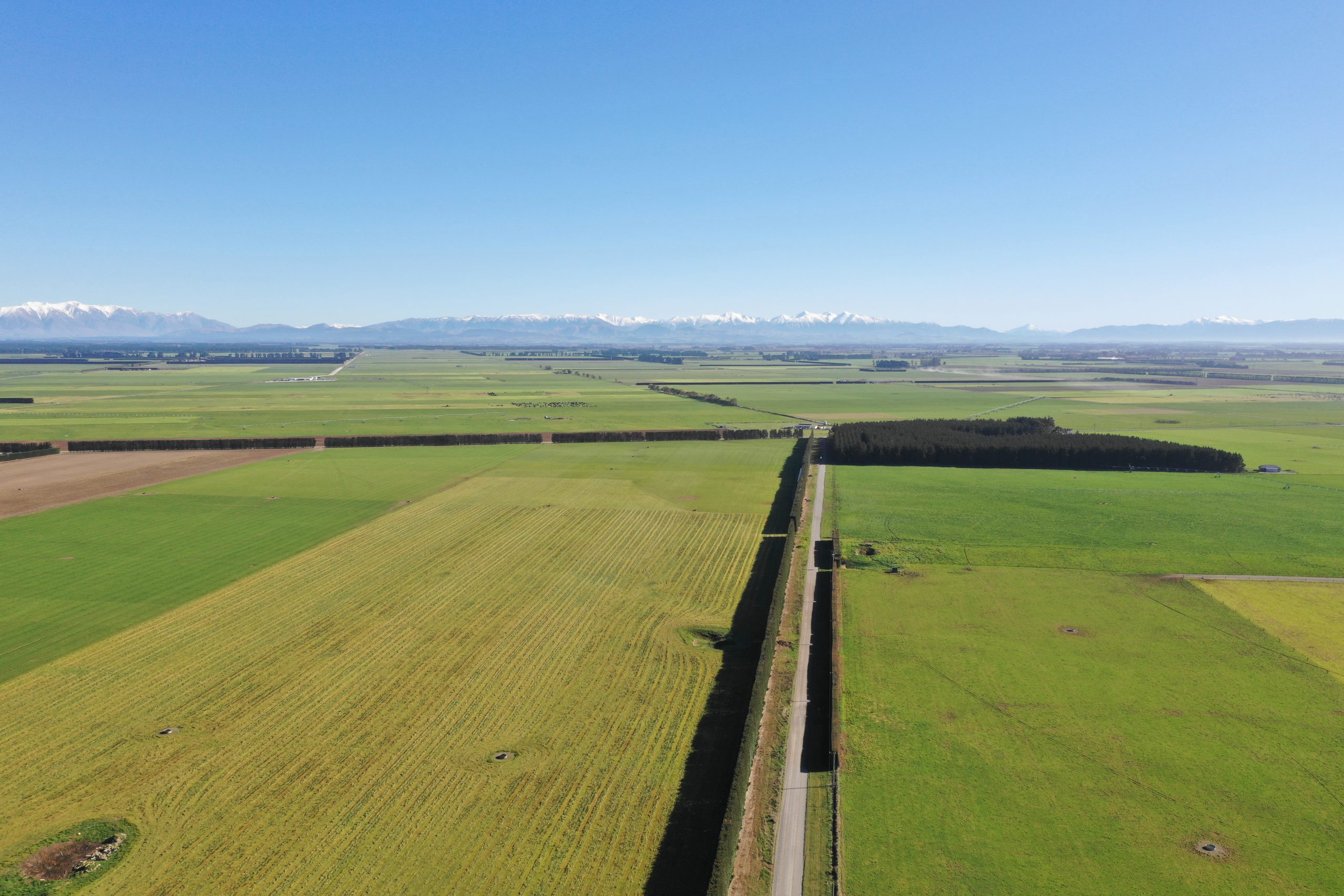 Aotearoa New Zealand needs a National Forest Policy