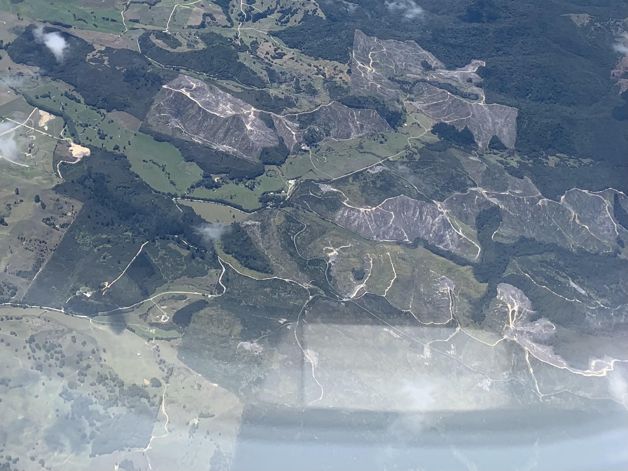 New Old Thinking – Aspiration for Forestry in the Future