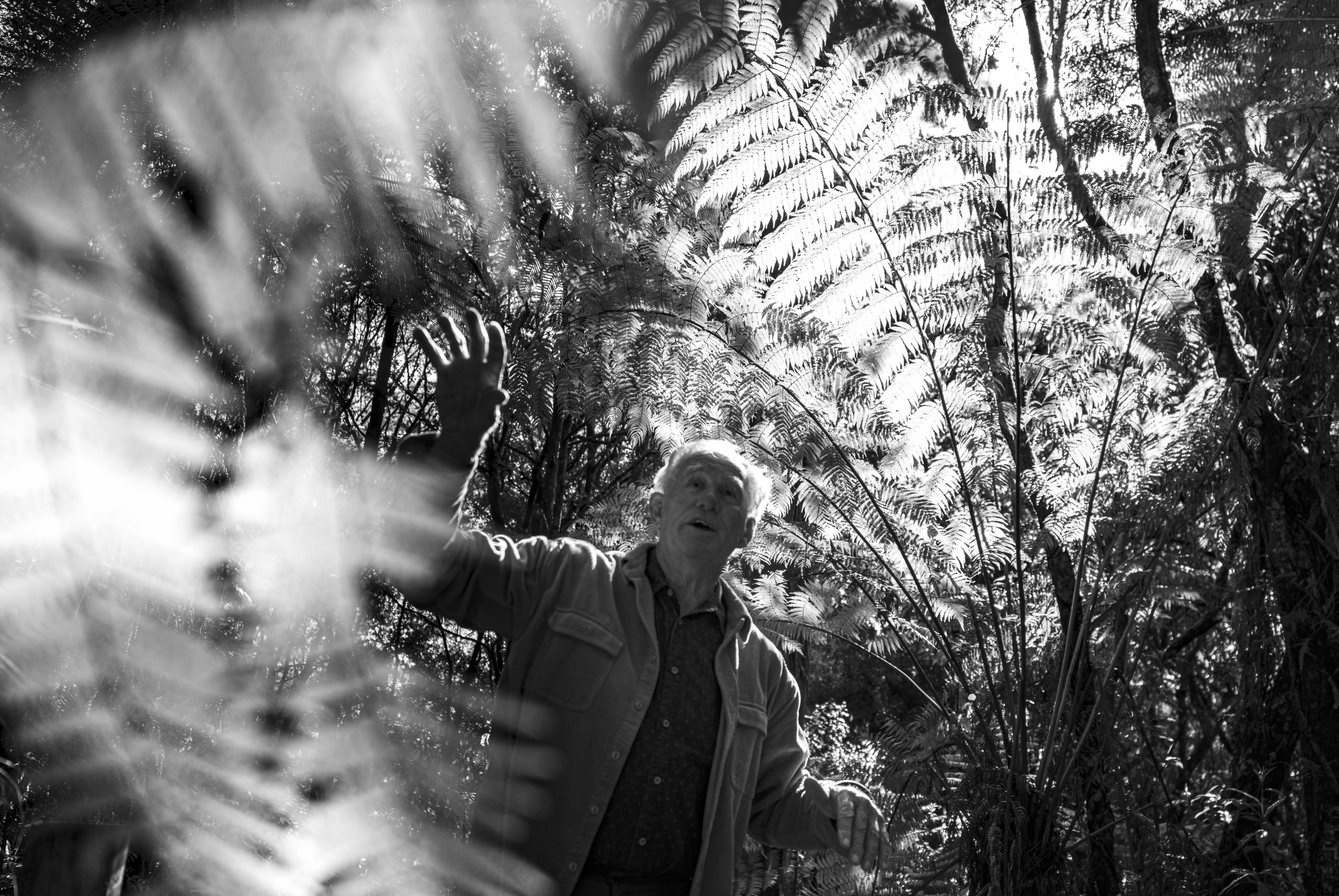 How We Got Here: Setting the Context