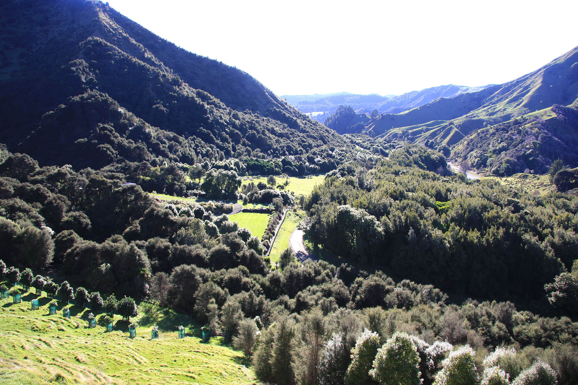 Restoration need not cost the Earth