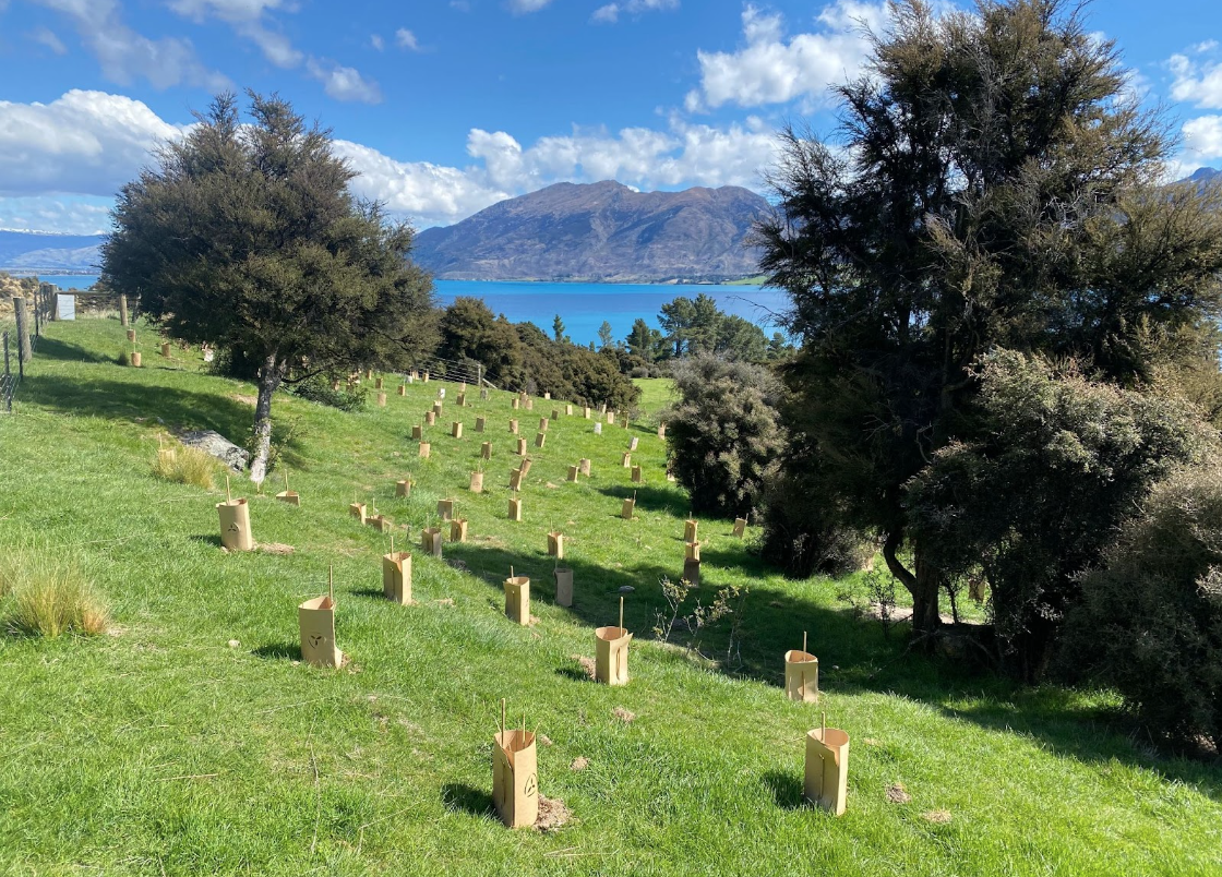 New Zealand is currently on track for catastrophic runaway climate change: A call to arms